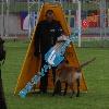 IMG_9482 (2)